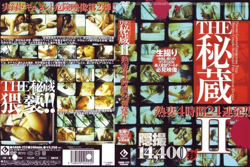 THE秘蔵2 熟妻4時間24連発！！