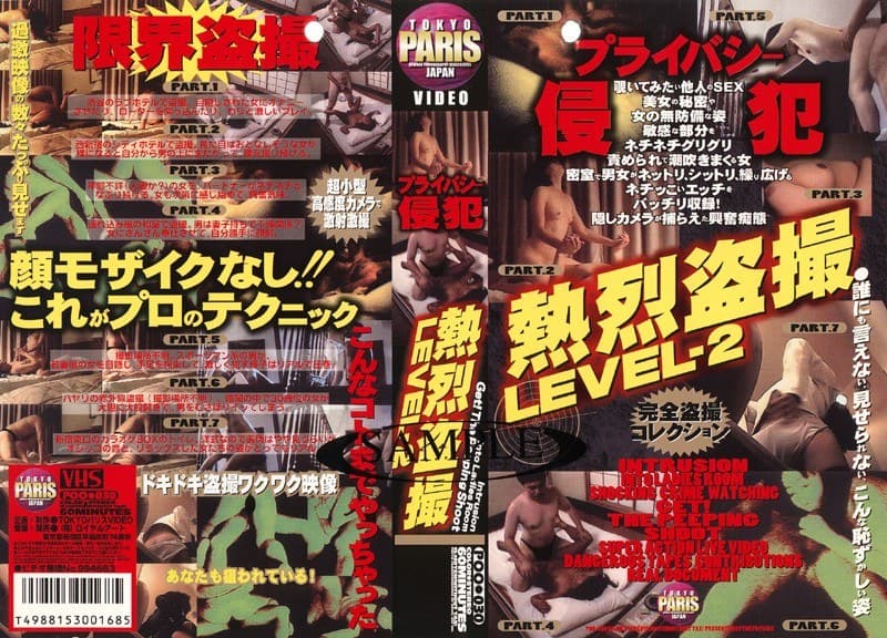 熱烈盗撮 LEVEL2