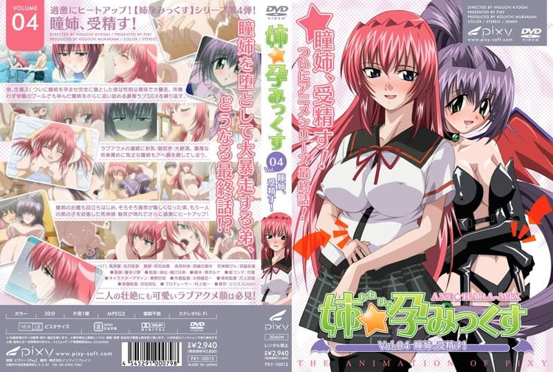 姉☆孕みっくす VOL.04 瞳姉、受精す！