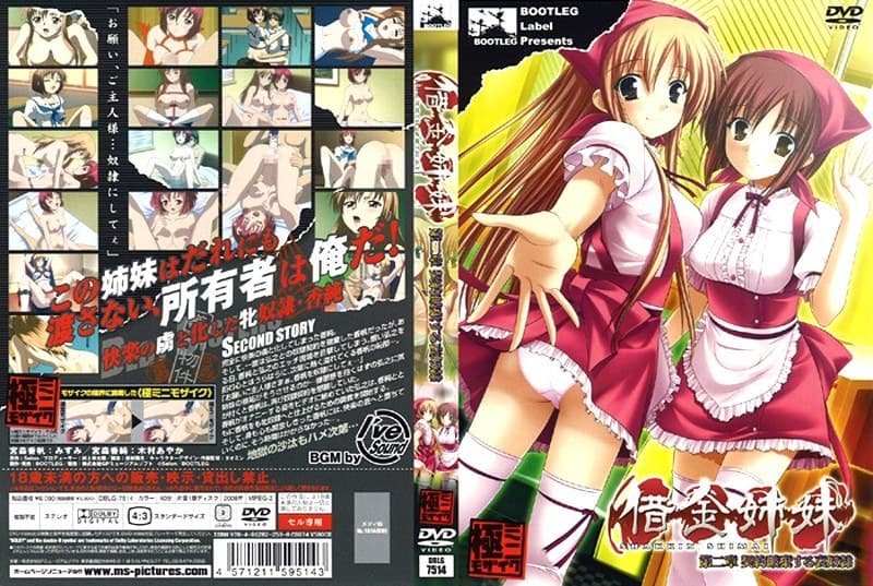 借金姉妹 第二章 契約破棄する哀奴●