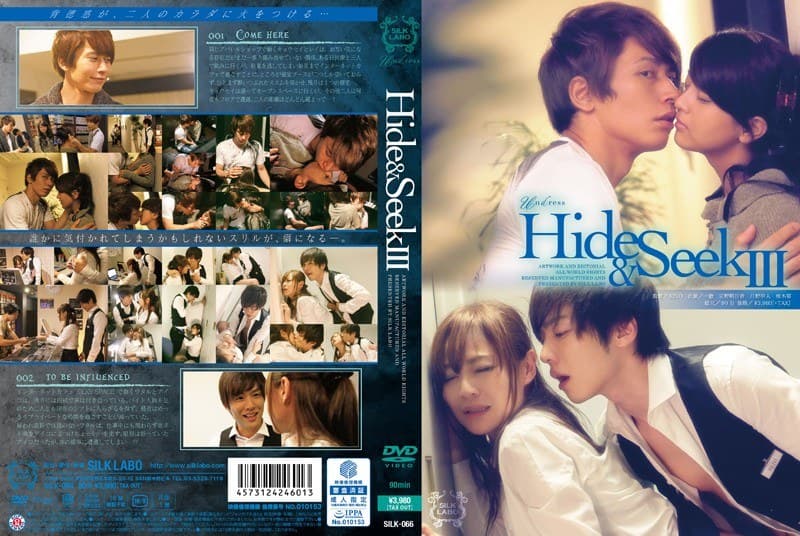 Hide&Seek 3