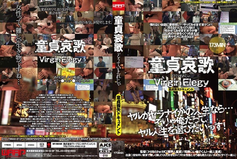 童貞哀歌 Virgin Elegy ~童貞喪失ドキュメント~