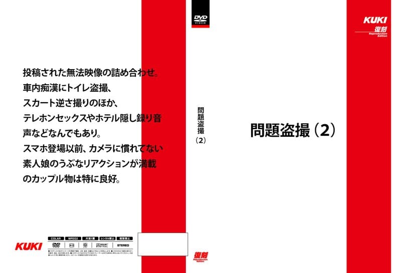 問題盗撮(2)