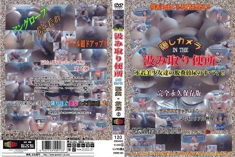 隠しカメラ IN THE 汲み取り便所 水着美少女達の脱糞放尿のすべて! パート2