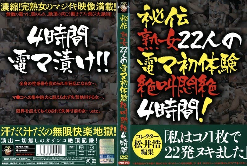 秘伝 熟女22人の電マ初体験絶叫悶絶4時間
