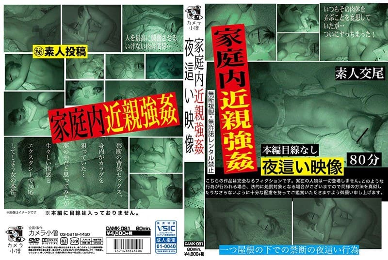 家庭内近親強● 夜●い映像