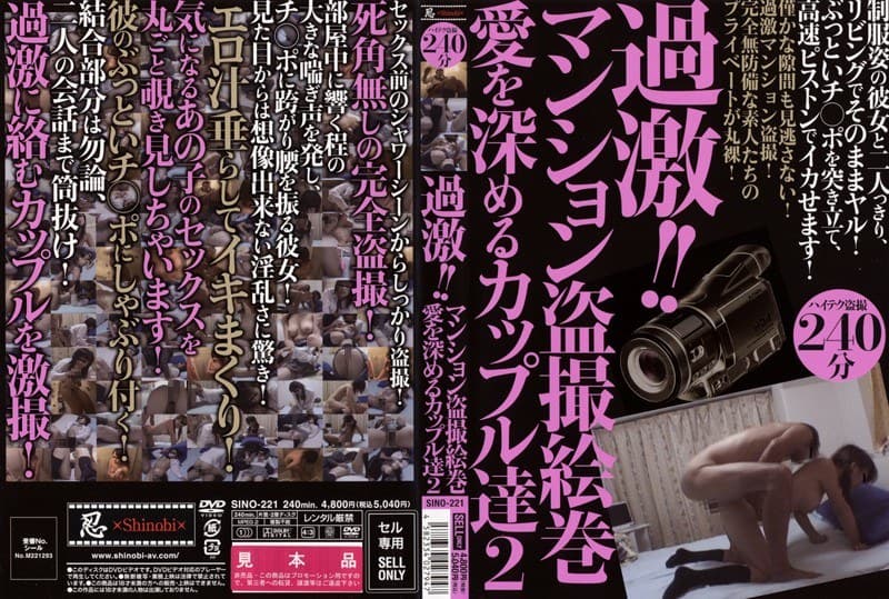 過激!!マンション盗撮絵巻 愛を深めるカップル達 2