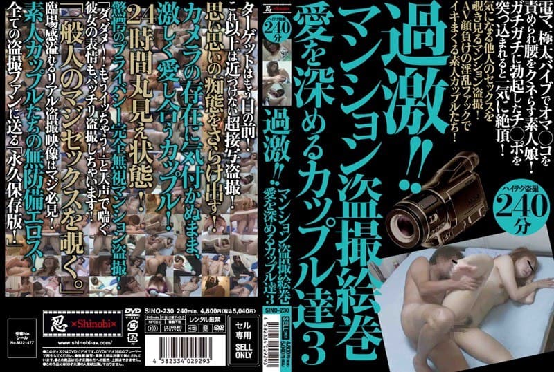 過激!!マンション盗撮絵巻 愛を深めるカップル達 3