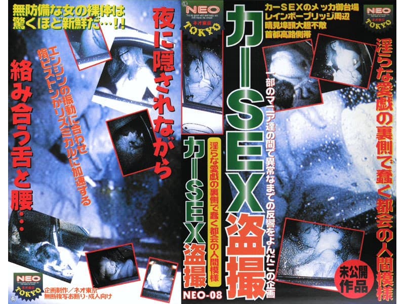 カーSEX盗撮