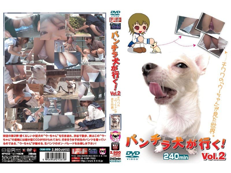 パンチラ犬が行く! Vol.2