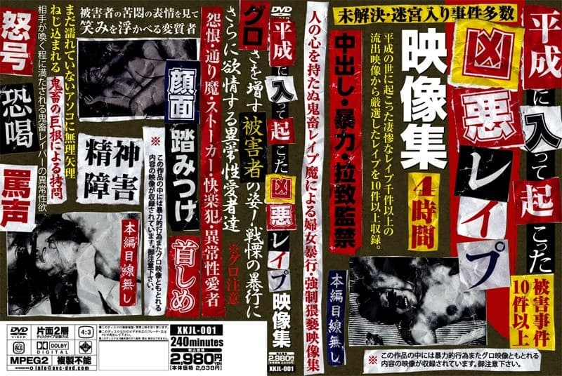 平成に入って起こった凶悪レ●プ映像集